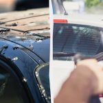 Vogels schijten niet meer op auto’s: dit is wat je
